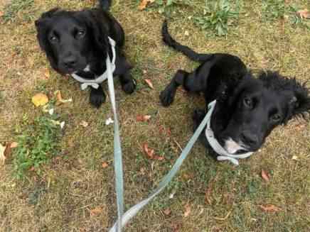 Winston & Ezra