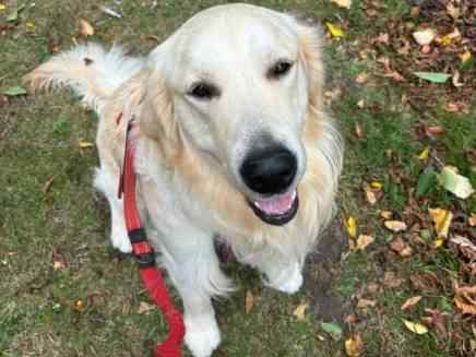 Murphy