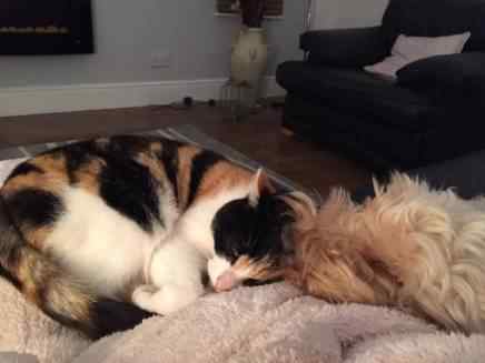 Millie & Alfie